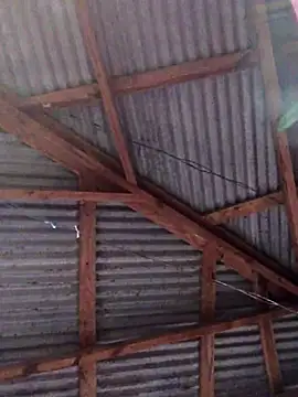 Snapshot of Ladyzee25 chatting on 11/26/25, 09:05 Ladyzee25 online show from 11/26/25, 09:05