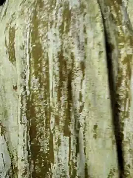 mens weakness online show from 11/02/25, 06:49