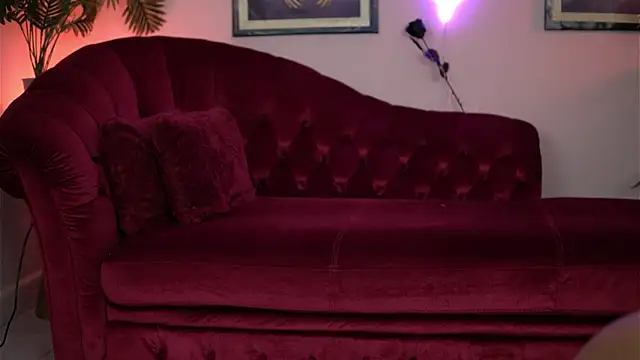 Snapshot of SophiaPotts chatting on 02/20/26, 02:41 SophiaPotts online show from 02/20/26, 02:41