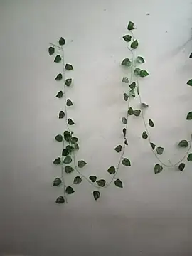 Neha-Bhabhi-Rasily online show from 02/14/26, 04:42