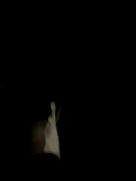 Dasul  online show from 10/11/25, 07:07