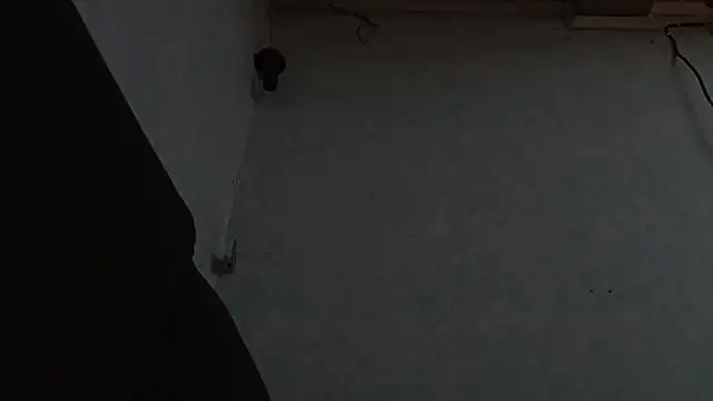 Snapshot of PrimordialChill6 chatting on 04/06/26, 03:59 PrimordialChill6 online show from 04/06/26, 03:59