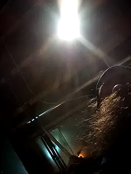 SirJonBradley online show from 09/19/25, 10:49