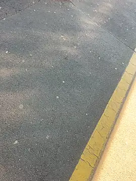 sohasenki online show from 04/04/26, 02:03