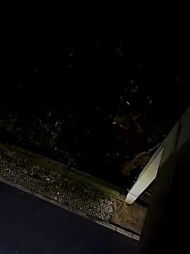 Snapshot of BUTTerflyTODAY chatting on 04/22/26, 01:52 BUTTerflyTODAY online show from 04/22/26, 01:52