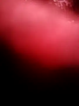 Snapshot of punam259 chatting on 12/04/25, 02:32 punam259 online show from 12/04/25, 02:32