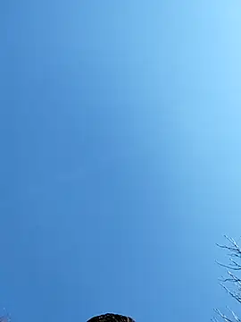 Snapshot of Anthopassif84 chatting on 03/17/25, 03:18 Anthopassif84 online show from 03/17/25, 03:18