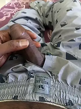 Tn localboy69 online show from 09/29/25, 02:16