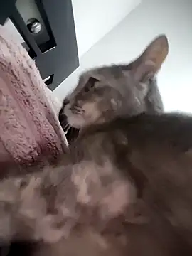 Snapshot of mialorents chatting on 11/23/25, 06:52 mialorents online show from 11/23/25, 06:52