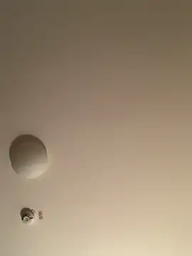 Saysay-7 online show from 11/20/25, 11:26