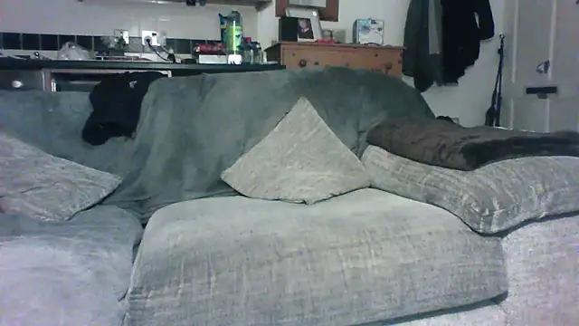 Grower and shower online show from 11/30/25, 11:42