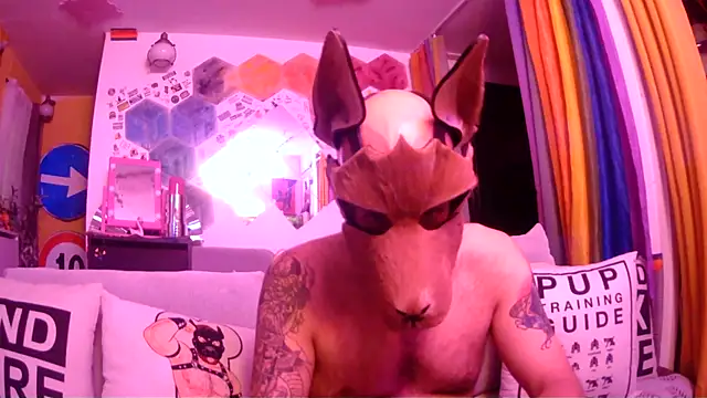 danix wild wolf online show from 05/31/26, 11:06