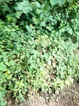 Snapshot of himvilohi08 chatting on 10/02/25, 05:14 himvilohi08 online show from 10/02/25, 05:14