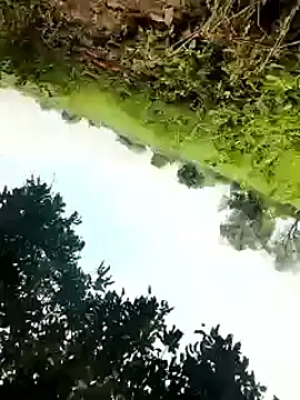 Snapshot of himvilohi08 chatting on 10/04/25, 05:27 himvilohi08 online show from 10/04/25, 05:27