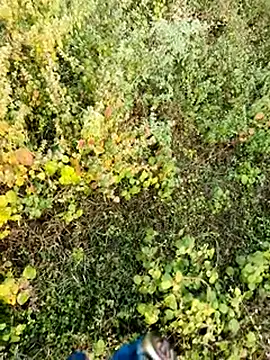 Snapshot of himvilohi08 chatting on 12/04/25, 02:43 himvilohi08 online show from 12/04/25, 02:43