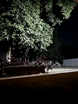 bakedsnackmmh online show from 02/19/26, 09:33