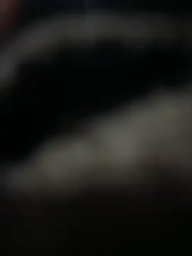 Snapshot of HARSHHU01 chatting on 03/17/25, 03:07 HARSHHU01 online show from 03/17/25, 03:07