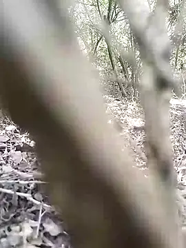 CertifiedSatisfier online show from 11/12/25, 10:37