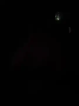 Hugo34bg online show from 02/13/26, 05:42