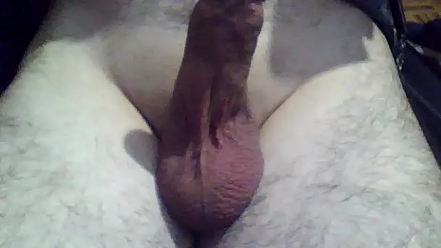 Snapshot of soyorkarxx chatting on 12/18/25, 11:44 soyorkarxx online show from 12/18/25, 11:44