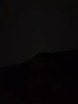 yourflowerpink online show from 12/01/25, 07:24