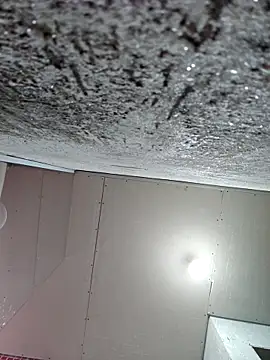 membro destruidor online show from 03/31/26, 05:13