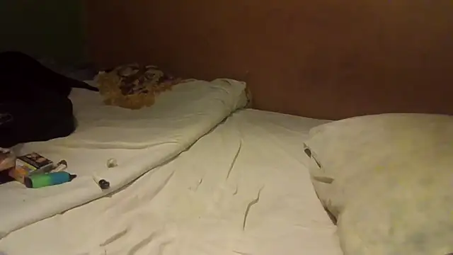 Snapshot of JoaoPinto0 chatting on 09/13/25, 12:54 JoaoPinto0 online show from 09/13/25, 12:54