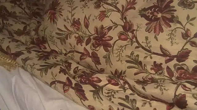 Snapshot of JoaoPinto0 chatting on 10/06/25, 01:58 JoaoPinto0 online show from 10/06/25, 01:58