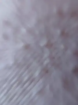 Snapshot of So8nan chatting on 09/21/25, 01:02 So8nan online show from 09/21/25, 01:02