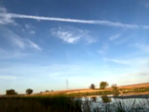 bwcizThrobbing online show from 10/22/25, 11:26