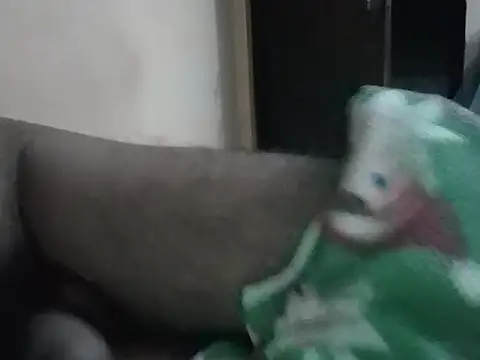 Snapshot of United95X chatting on 09/12/25, 01:55 United95X online show from 09/12/25, 01:55