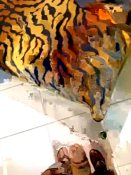 Dglo0000 online show from 02/28/26, 04:46