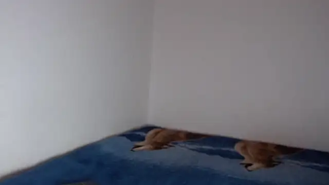 Snapshot of sharon_sexy_ chatting on 11/23/25, 08:41 sharon sexy online show from 11/23/25, 08:41