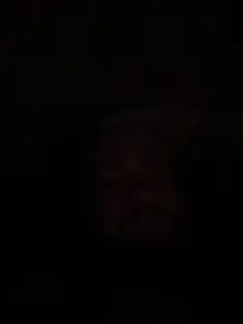 Snapshot of Bear2323 chatting on 05/20/26, 04:07 Bear2323 online show from 05/20/26, 04:07