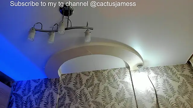 Snapshot of Cactus__James chatting on 06/28/26, 10:21 Cactus James online show from 06/28/26, 10:21