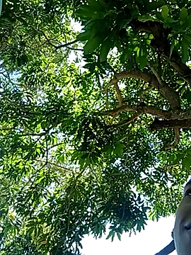 perversumm online show from 09/21/25, 04:19