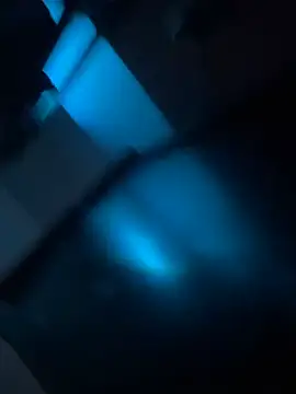 msvelvet20 online show from 03/19/26, 09:35