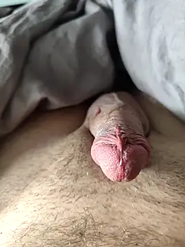 Snapshot of evi42 chatting on 03/18/25, 11:52 evi42 online show from 03/18/25, 11:52