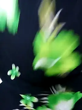 Snapshot of tamiltady chatting on 09/12/25, 05:57 tamiltady online show from 09/12/25, 05:57