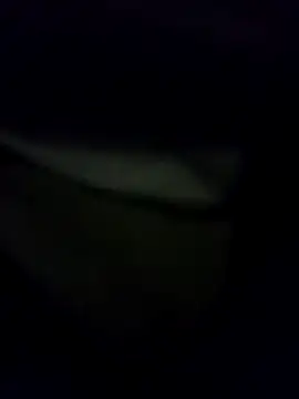 Hema0Hema online show from 02/21/26, 10:33