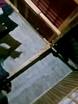 Snapshot of luuiss12 chatting on 10/06/25, 02:31 luuiss12 online show from 10/06/25, 02:31