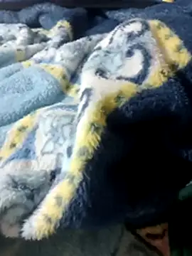 Snapshot of luuiss12 chatting on 01/13/26, 08:14 luuiss12 online show from 01/13/26, 08:14