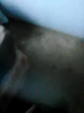 Snapshot of mydickbedarkandthick chatting on 11/21/25, 03:11 mydickbedarkandthick online show from 11/21/25, 03:11