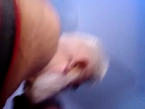 CloudyMuscleBeefy online show from 11/26/25, 05:58