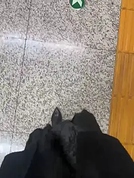 Snapshot of xiaoyuan01 chatting on 10/31/25, 02:45 xiaoyuan01 online show from 10/31/25, 02:45