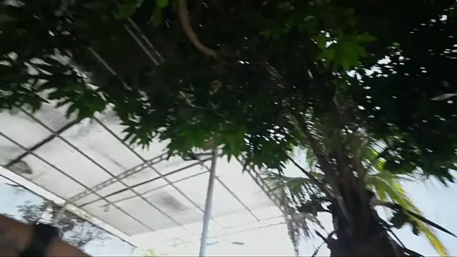 GGmansion01 online show from 09/17/25, 12:18