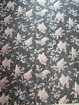 Dari Toy  online show from 11/07/25, 01:38