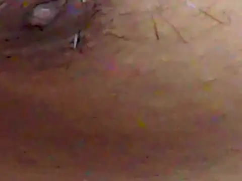 Snapshot of ChiseledCharm chatting on 09/19/25, 02:51 ChiseledCharm online show from 09/19/25, 02:51