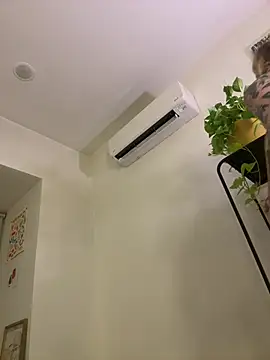 seeunexttuesday online show from 03/31/26, 11:38