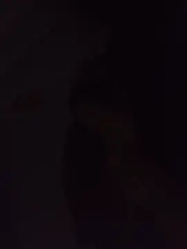 Snapshot of Sexxoophone chatting on 07/03/26, 03:35 Sexxoophone online show from 07/03/26, 03:35
